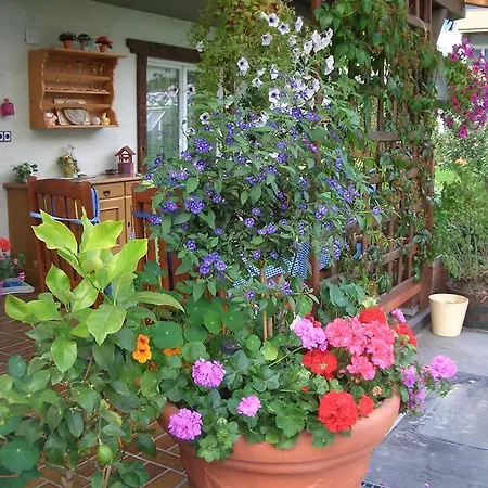 Haus Gruetzner * دورفغاستين